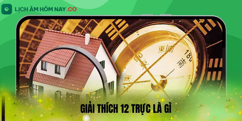 Giải thích 12 trực là gì